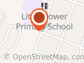 Little Flower Primary School