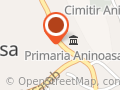 Şcoala Cu Clasele i-Viii Aninoasa