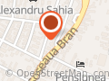 Panta