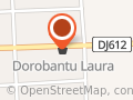 MINIMARKET SC DOROBANTU LAURA 2001 SRL