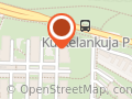 Anneli Niemelä