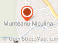 MUNTEANU NICULINA