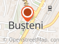 Consiliul Local Busteni
