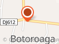 Profi Loco Botoroaga