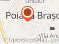 Vila de Vis Poiana Brasov