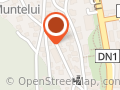Castelul Trei Ursuleţi