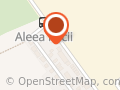 Intretinere spatii verzi Brasov
