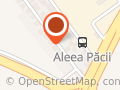Handmade Pauli