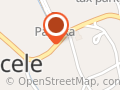 Szekely Blanka PFA