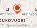 LiinaLeidi kotisiivous, Tmi LiinaLeidi Sini Bergström