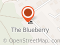The Blueberry