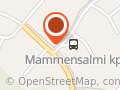 MediaNärhi