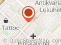 Uusi Aika, Taina Ylänen