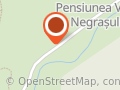 Vila Negraş