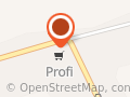Profi