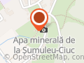 Izvorul cu apă minerală de la Şumuleu