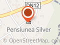 Silver Villa