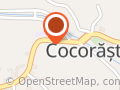 BoomFlori ByAlexa Cocorastii Mislii