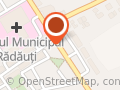 Gina SRL Radauti
