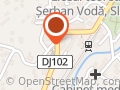 Profi Slănic
