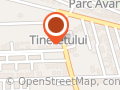 Consiliul Tinerilor Institutionalizati