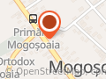 Mozo Pizza
