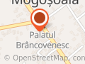 Şcoala Gimnazială Numărul 1