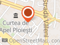 STOICESCU RODICA