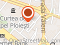 Traducator Ionela Polixenia Matei