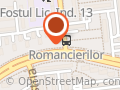 Primo Romancierilor