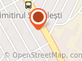 Vila Riry Bucureştii Noi
