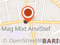 Mirela SRL
