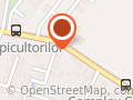 MANI TOP MOTORS SRL
