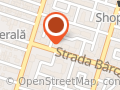 BUSINESS MODEL SRL