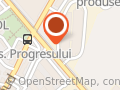 Fresco VERDE Viilor - Depozit Flori En Gross