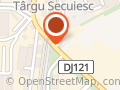 Cosmetică auto - Floarea Soarelui