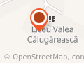 Colegiul Naţional Ion Ionescu Siseşti Valea Călugărească