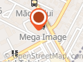 Business Software Integrator