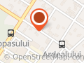 ANA TAXI SRL
