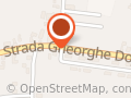 Realizarea Trans SRL
