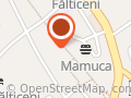 CAR FlexiCredit Fălticeni