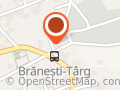 Vulcanizare auto branesti
