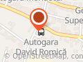 Autogara David Romică