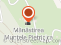 Manastirea Pietricica