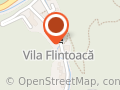 Vila Flintoaca