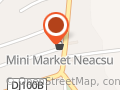Mini Market Neacsu