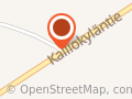 Kauppisen Korjaamo Tmi