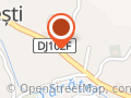 Şcoala Gimnazială CĂNEŞTI