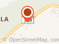 Autoilija Esa Skyttä