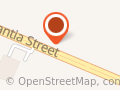 Dolphin Motors